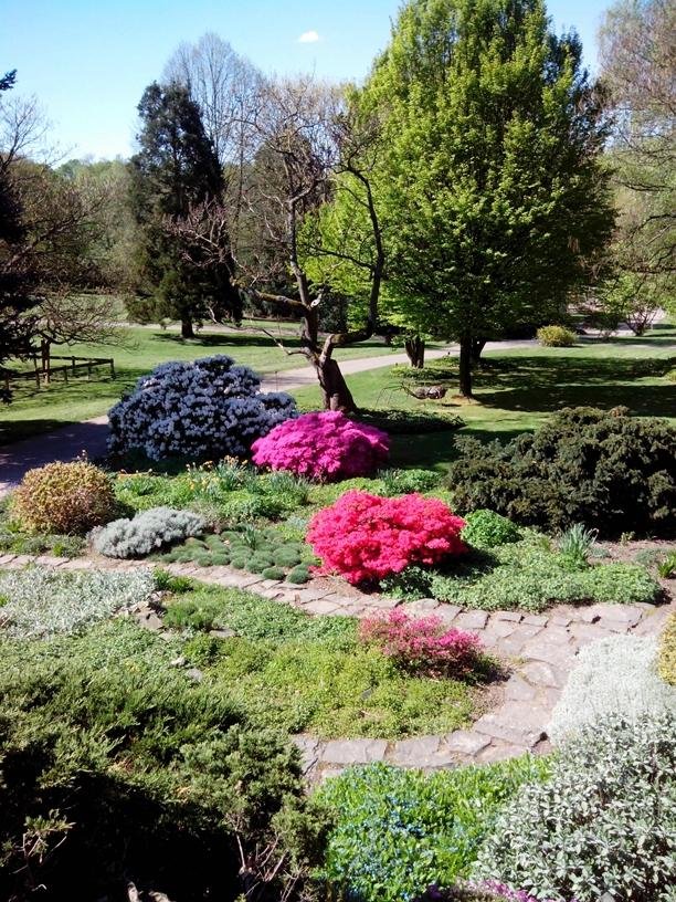 Botanischer Garten Solingen All You Need to Know BEFORE You Go (2024)