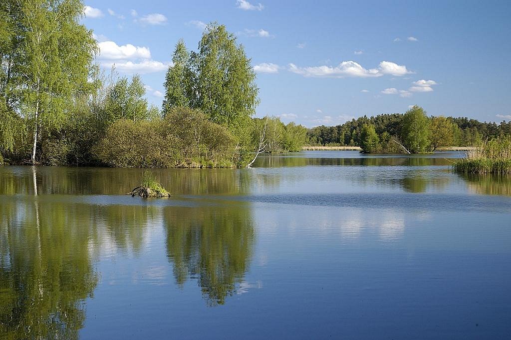 Карпа озеро. Озеро в Карпово Уфа. Озеро карпятник. Озеро в Образцово. Карповый пруд.