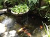 BlissedOutBali