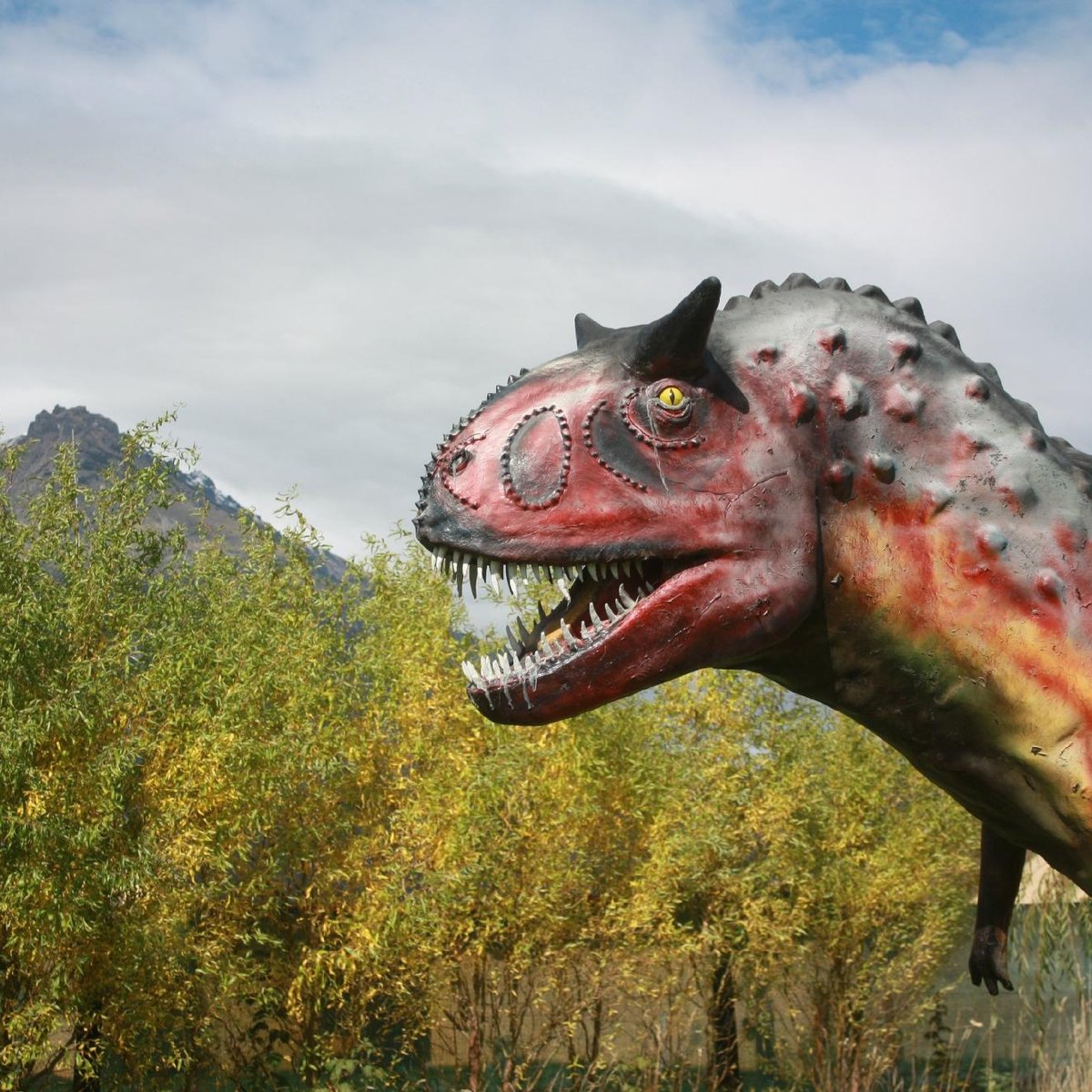 Arcosauria Parque Tematico (El Hoyo) - All You Need to Know BEFORE You Go