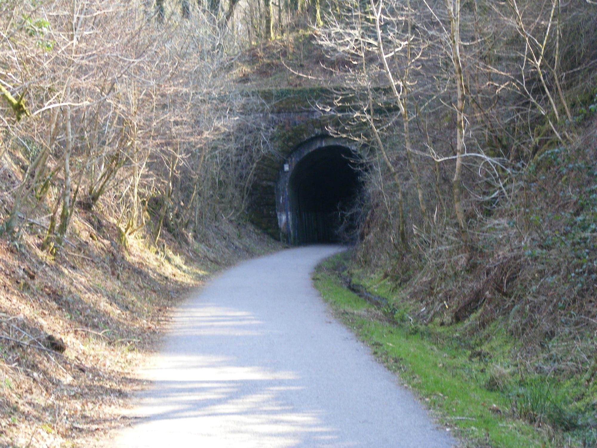 Plym valley on sale cycle trail