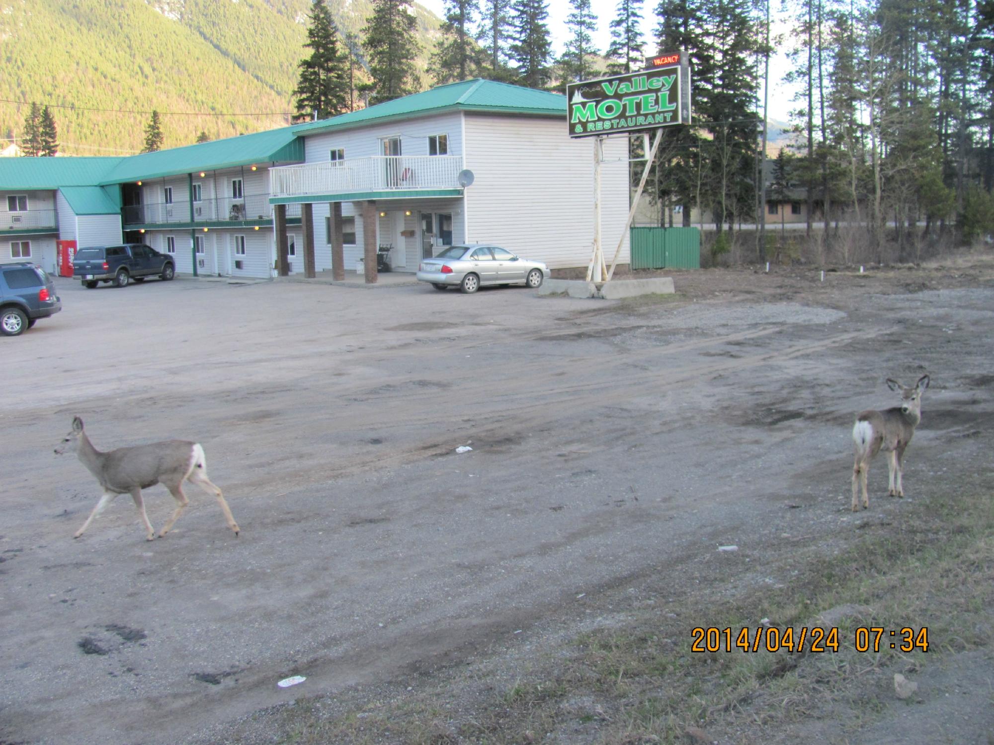 VALLEY MOTEL Updated 2024 Hotel Reviews Sparwood British Columbia   Valley Motel 