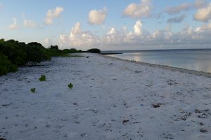 Piscina e praia