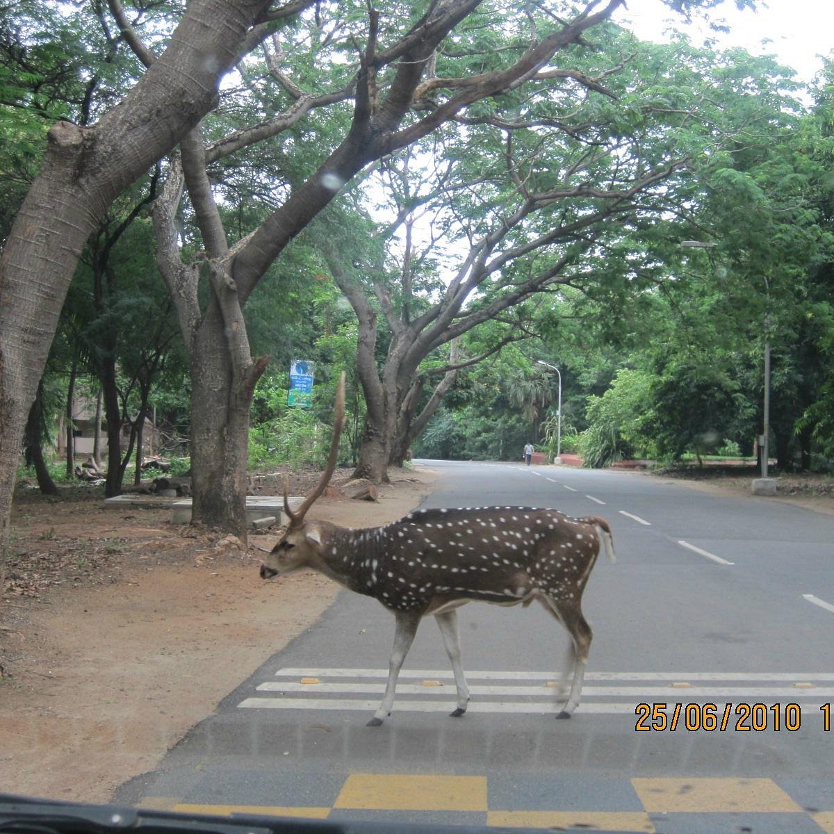 About Indian Institute of Technology Madras - IIT Madras College