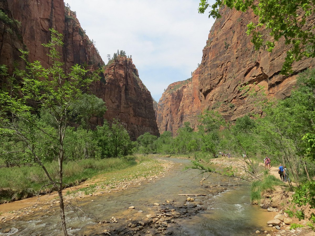 Zion National Park Rides, Тропик: лучшие советы перед посещением -  Tripadvisor