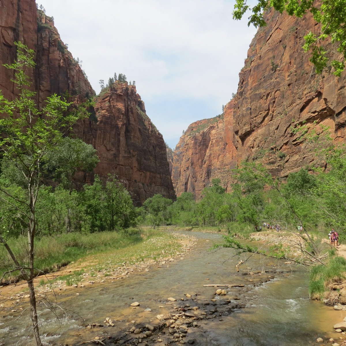 Zion National Park Rides - All You Need to Know BEFORE You Go (2024)