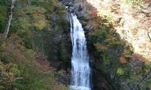 観瀑台から見た大滝
