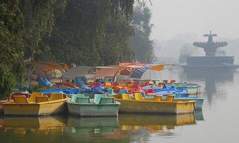 Sanjay Lake: A Serene Escape in the Heart of Delhi