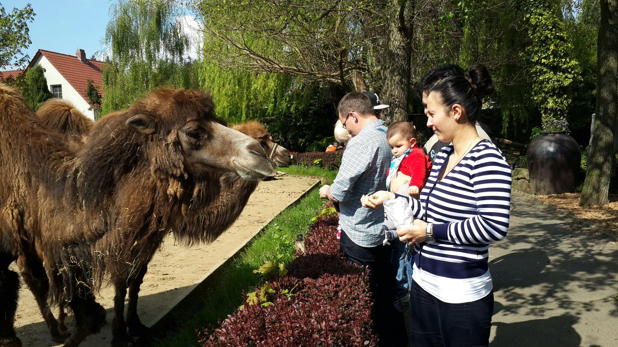 Arche Noah Zoo Braunschweig Lohnt es sich Aktuell f r 2024