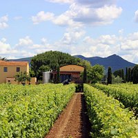 Terre del Marchesato