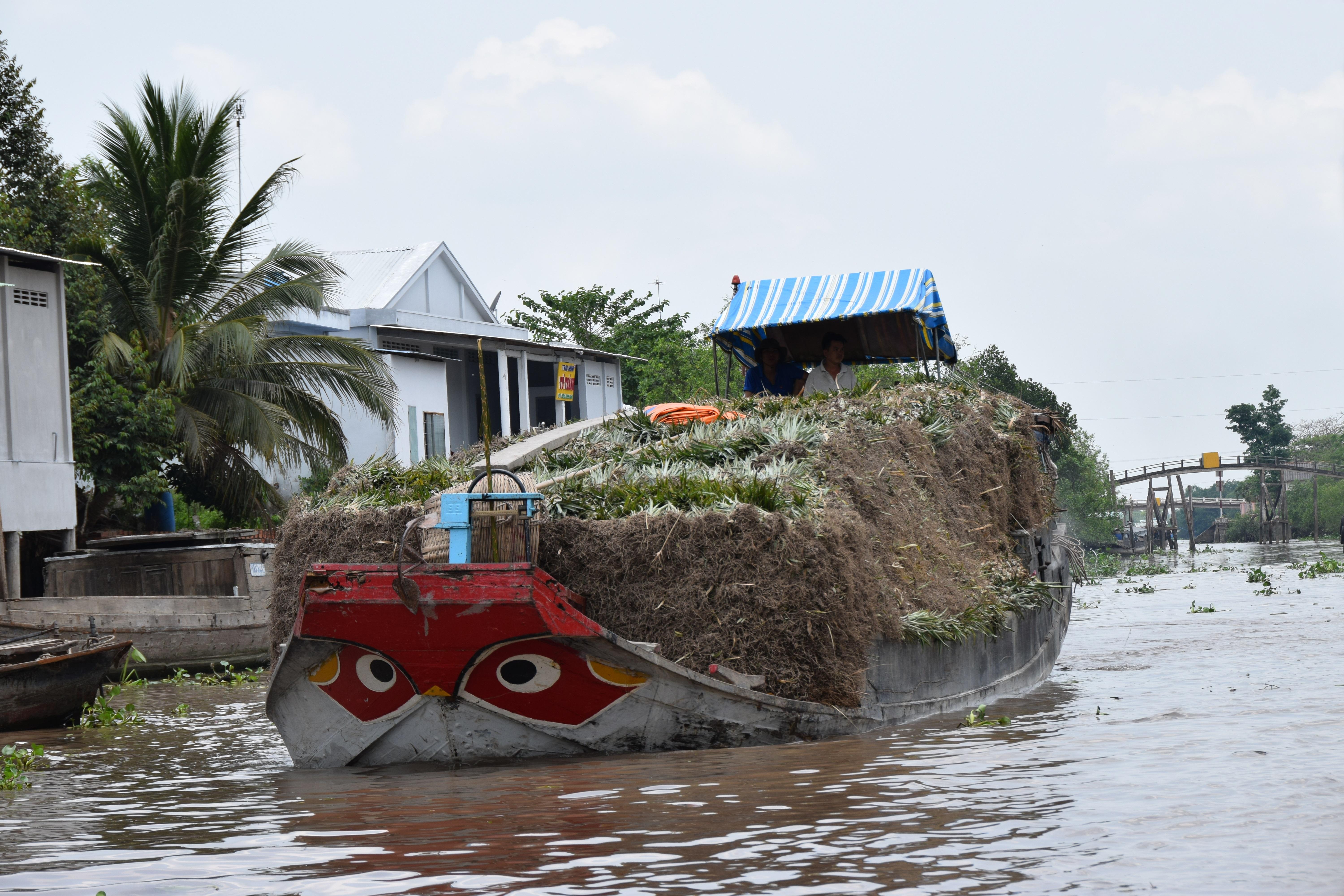 Indochina Treks - Luxury Private Mekong Day Cruise - All You Need To ...