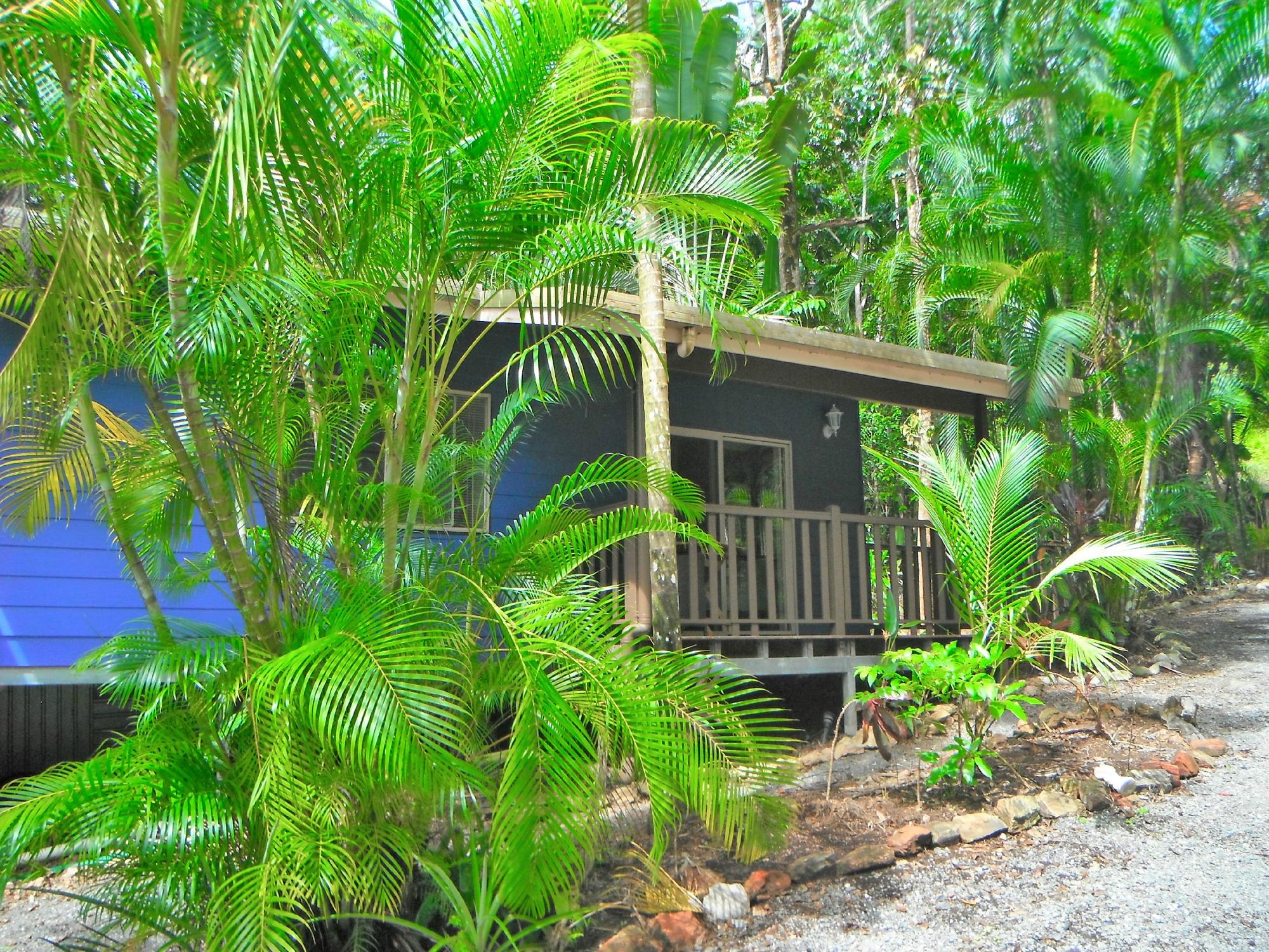 DAINTREE VILLAGE HIDEAWAY - B&B Reviews (Daintree Region, Australia)