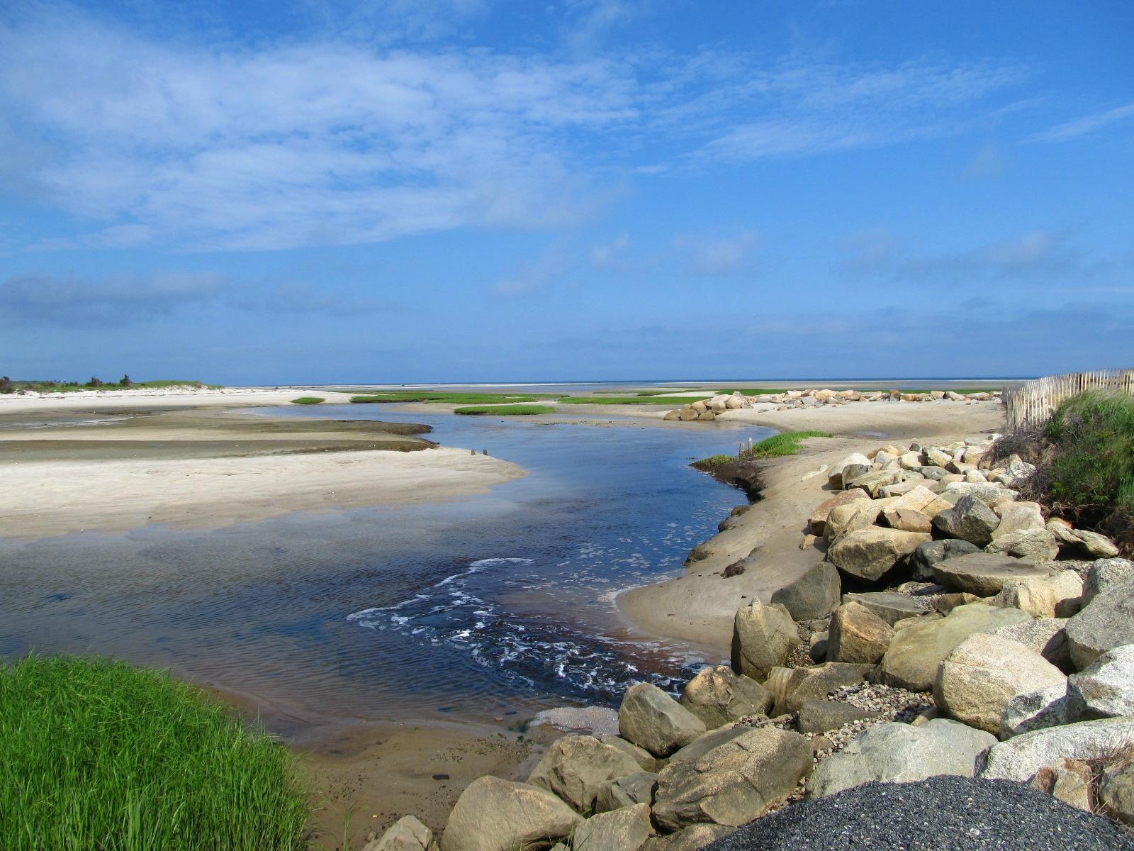 Paine's Creek Beach: Your Ultimate Guide to Brewster, MA