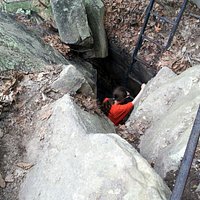 down the rabbit hole