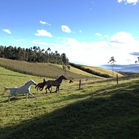 getlstd_property_photo