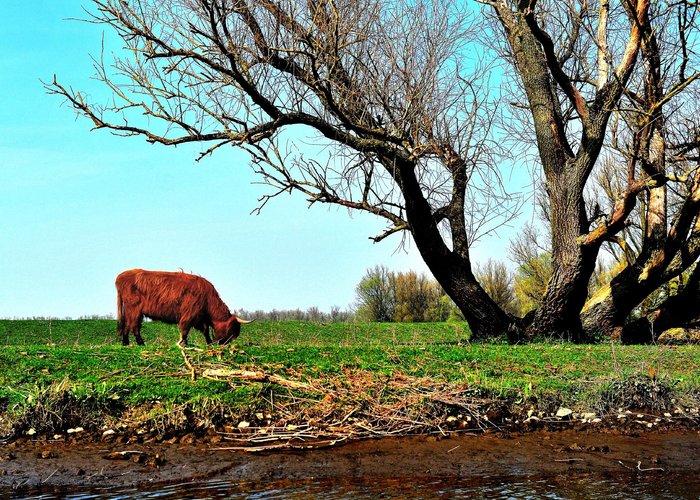 You are close to nature