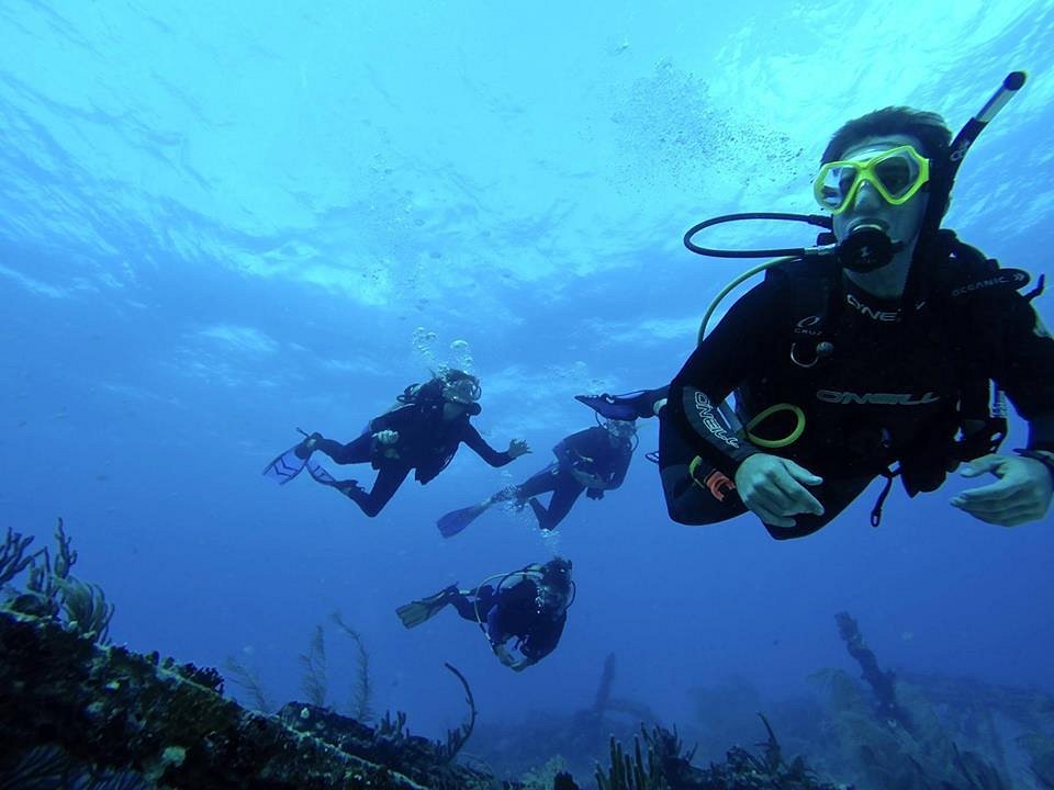 Diving in Playa del Carmen and Tulum • Pro Instructors • Blue Life