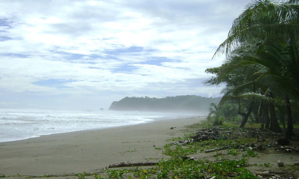 Playa San Miguel Tourism 2021: Best of Playa San Miguel, Costa Rica