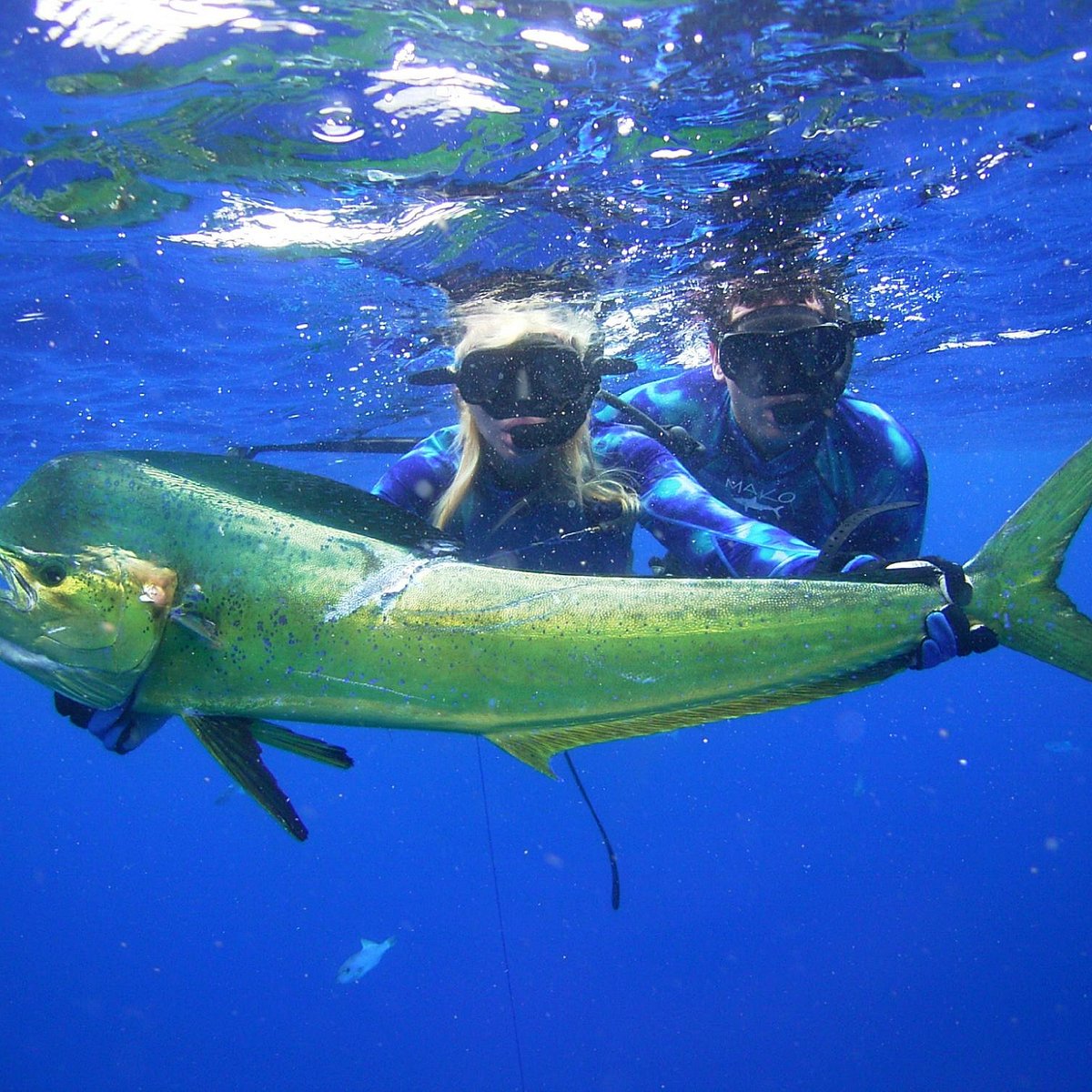 Blue Water Hunter Spearfishing Charters (Kailua-Kona) - Lohnt es sich?  Aktuell für 2024 (Mit fotos)