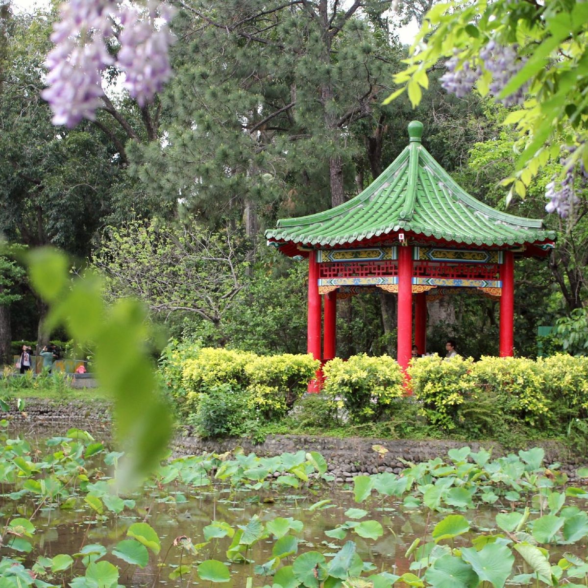 The Botanical Garden, Zhongzheng District: лучшие советы перед посещением -  Tripadvisor