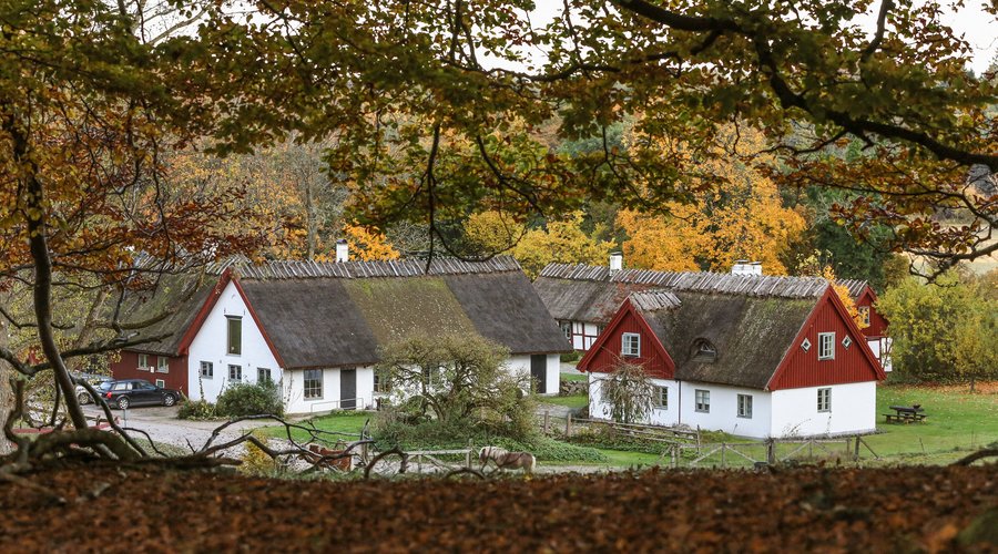 Autumn our favorite season