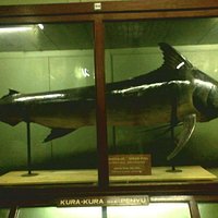 Ikan Besaaar