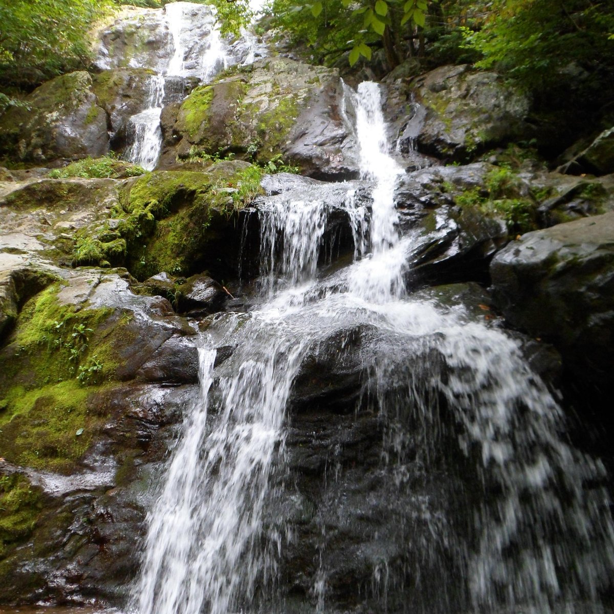 Dark Hollow Falls (shenandoah National Park) - 2021 All You Need To 