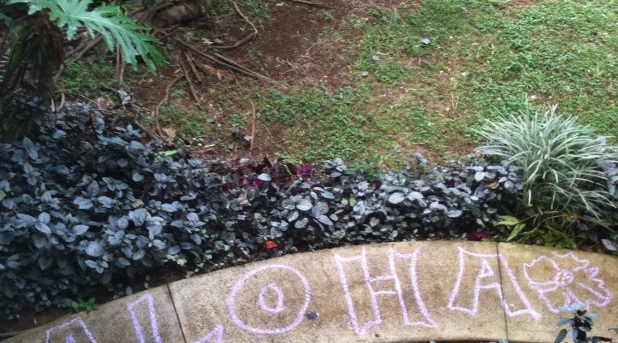 We were bored one morning so we used some kids chalk.