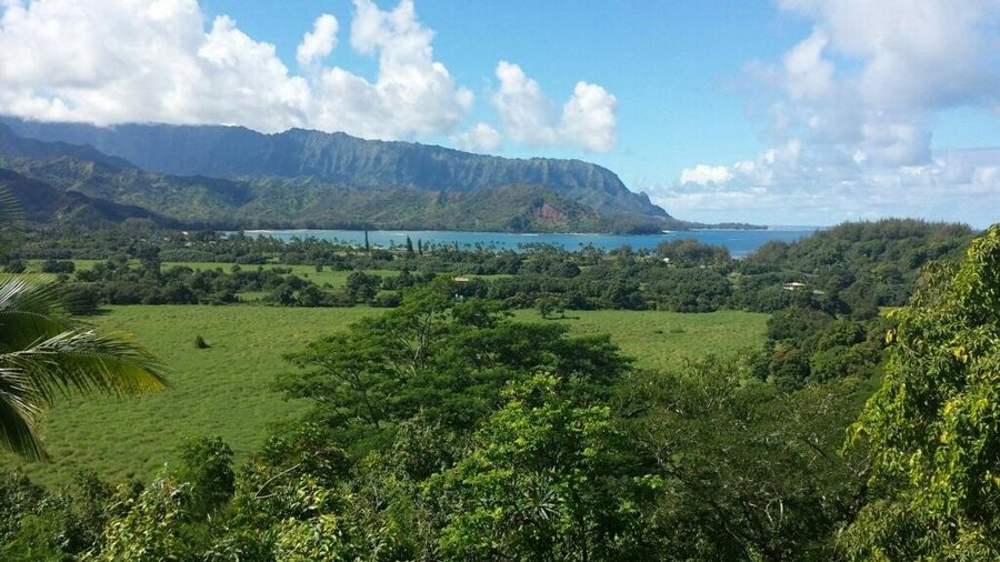 The views that await you...(this is not far from the house)