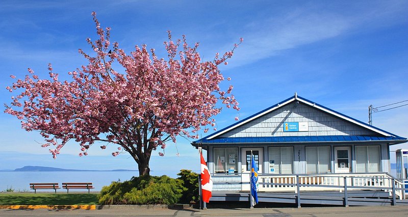 THE 15 BEST Things to Do in Qualicum Beach - UPDATED 2021 - Must See