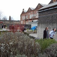 Back of the Hidden Gardens