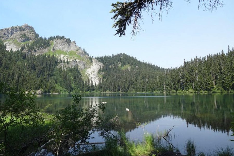 Kachess Lake image