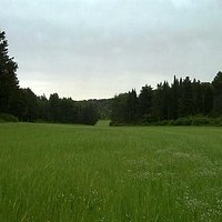 centro visite bosco dei guardiani