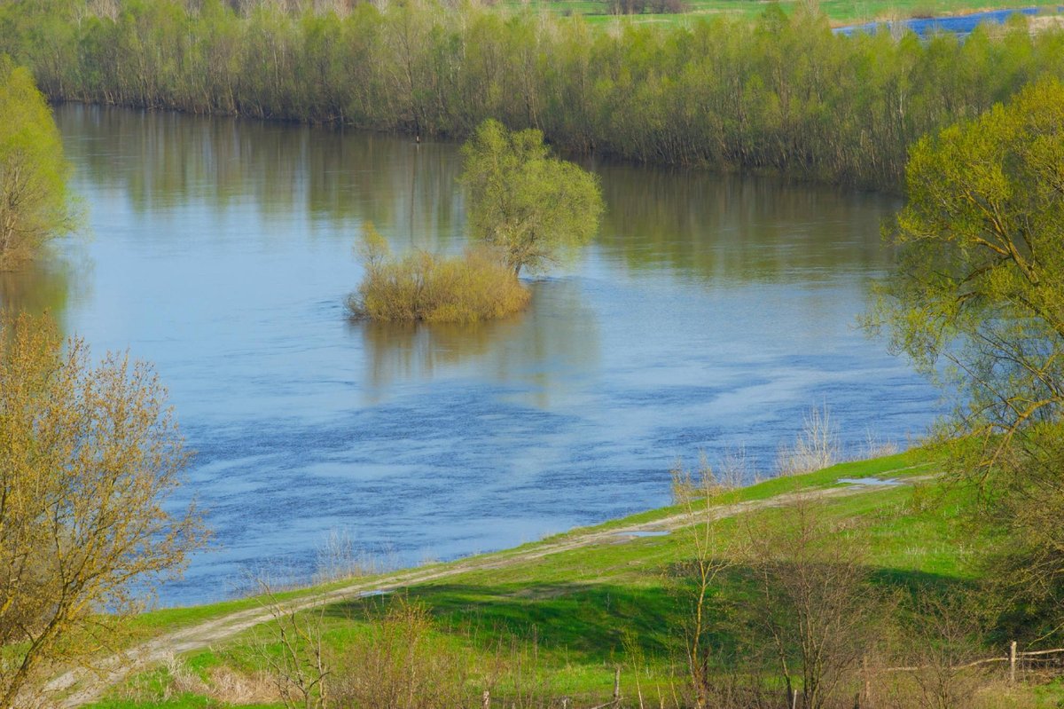 Сейм река, Батурин: лучшие советы перед посещением - Tripadvisor