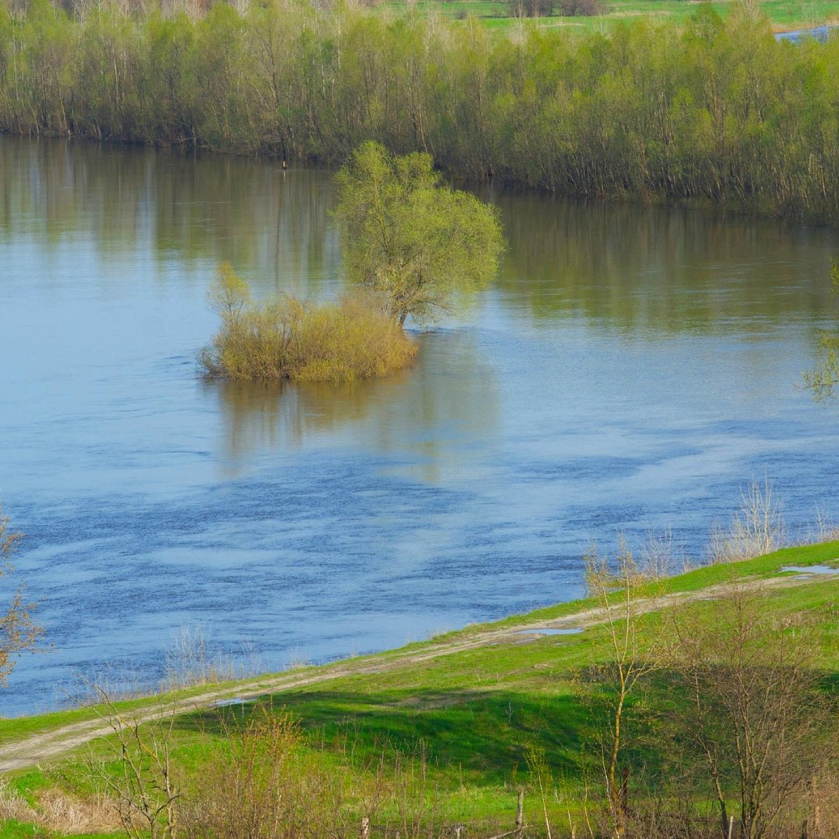 Сейм река, Батурин: лучшие советы перед посещением - Tripadvisor