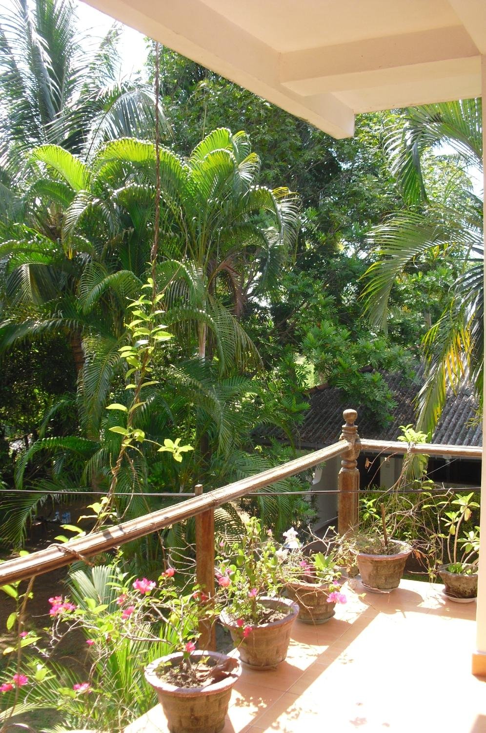 PALM GARDEN GUEST HOUSE - Reviews (Polonnaruwa, Sri Lanka) PALM GARDEN GUEST HOUSE -  Reviews (Polonnaruwa, Sri Lanka)