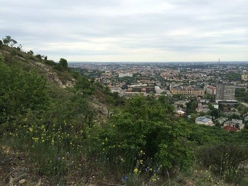 udelukkende Mediator Stolthed Sas Hill Nature Reserve (Budapest) - 2022 All You Need to Know BEFORE You  Go (with Photos) - Tripadvisor
