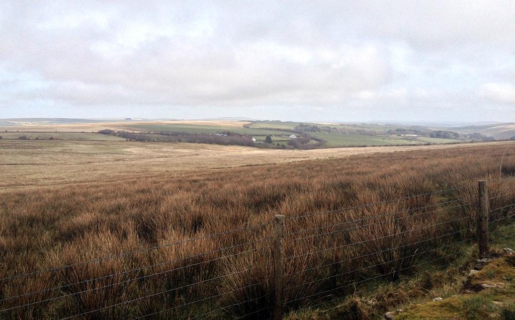 exmoor safari trip