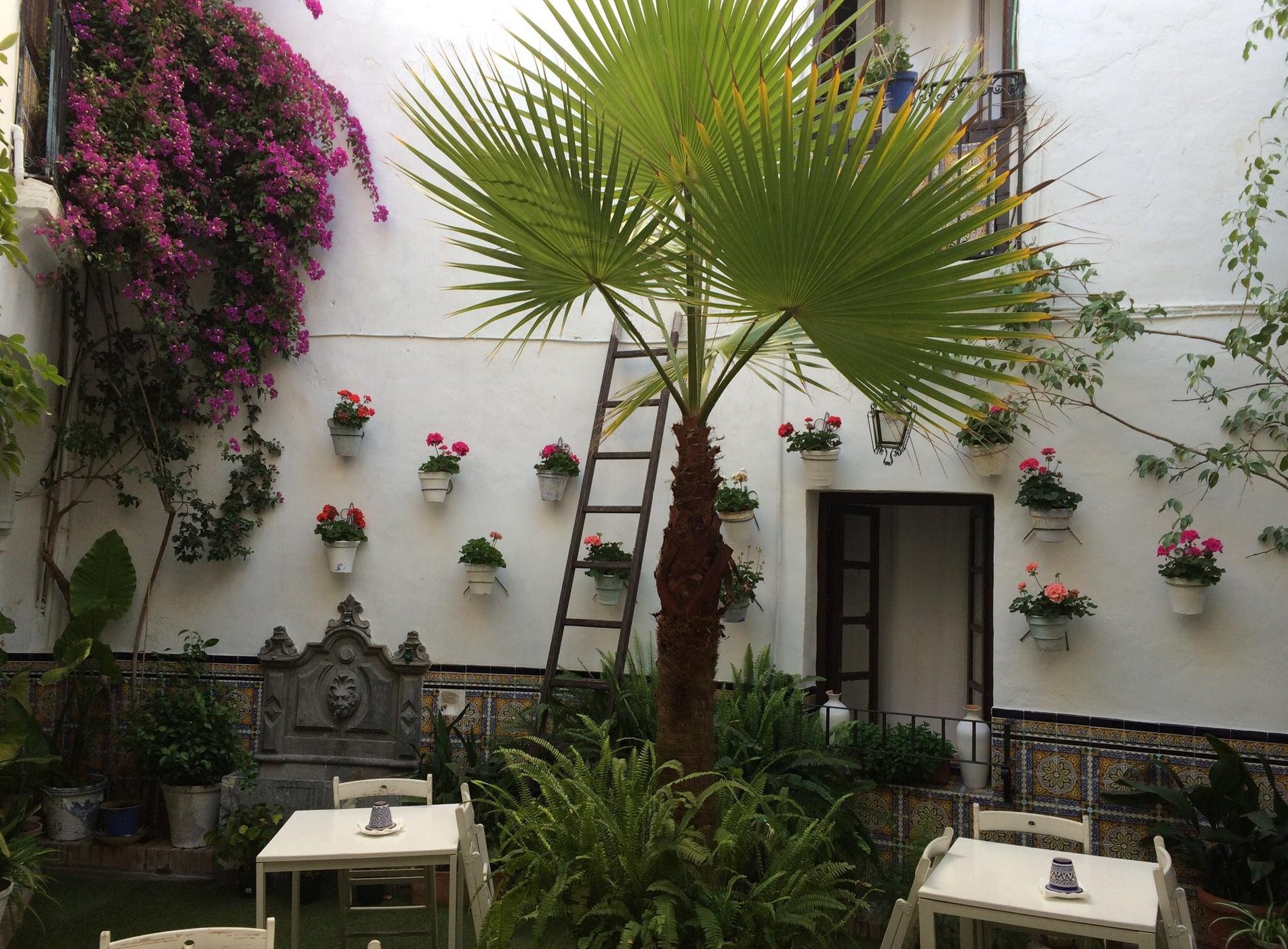 Senses&colours Séneca Hostel by null