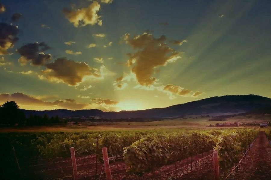 2Hawk Vineyard & Winery image