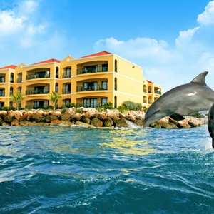 The Royal Sea Aquarium Resort, hotel in Willemstad