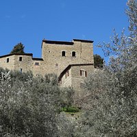 "Castello di Sezzate" seen by the underneath olive grove
