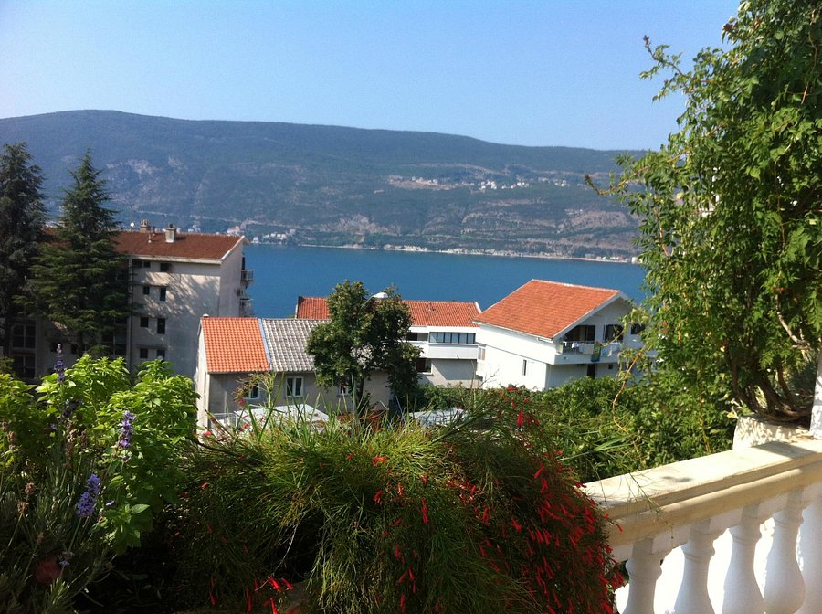 Apartments Herceg Novi Prices Condominium Reviews Herceg Novi Montenegro Tripadvisor