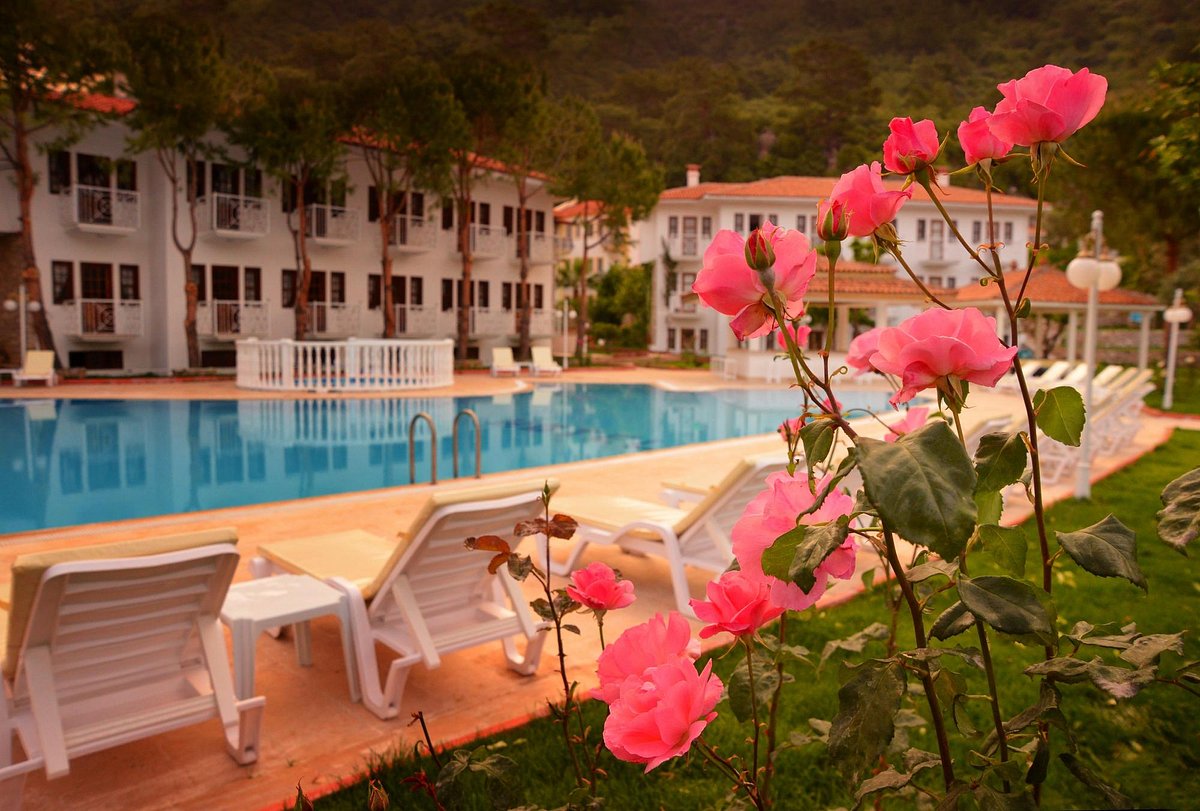 dirty knickers outside my door (my garden/pool view) - Picture of Seyir  Village Hotel, Oludeniz - Tripadvisor