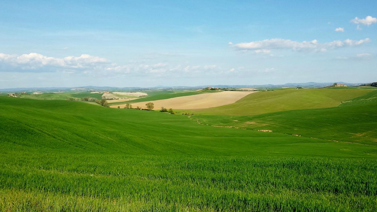 Rolling Hills Tours (Montieri) - All You Need to Know BEFORE You Go