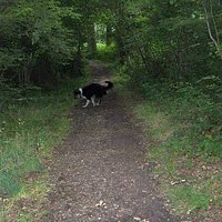 Hillingdon Trail
