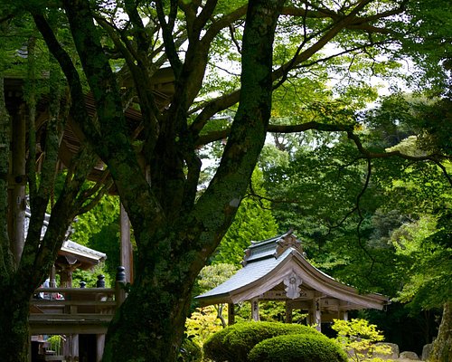 三田市の名所 ベスト10 トリップアドバイザー