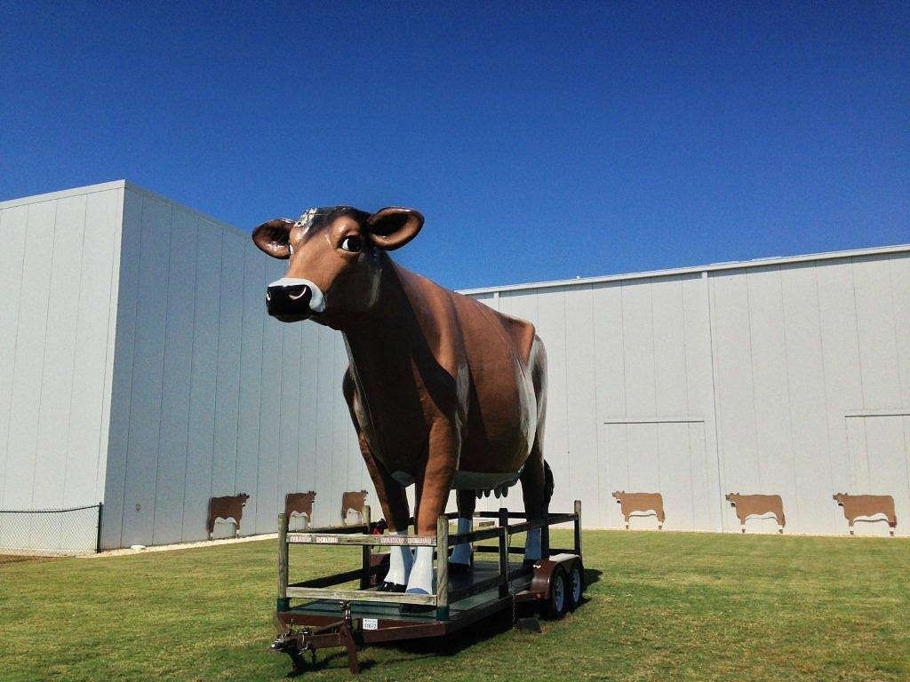 mayfield dairy braselton tours