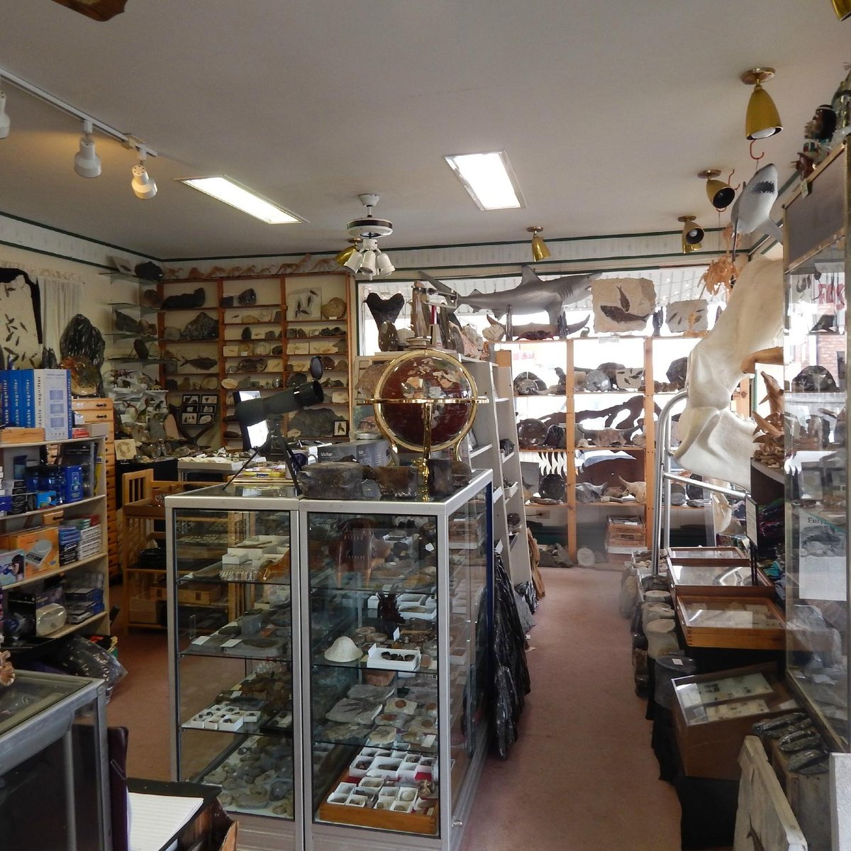 Past And Present Blasdell All You Need To Know Before You Go Updated 2021 Blasdell Ny Tripadvisor