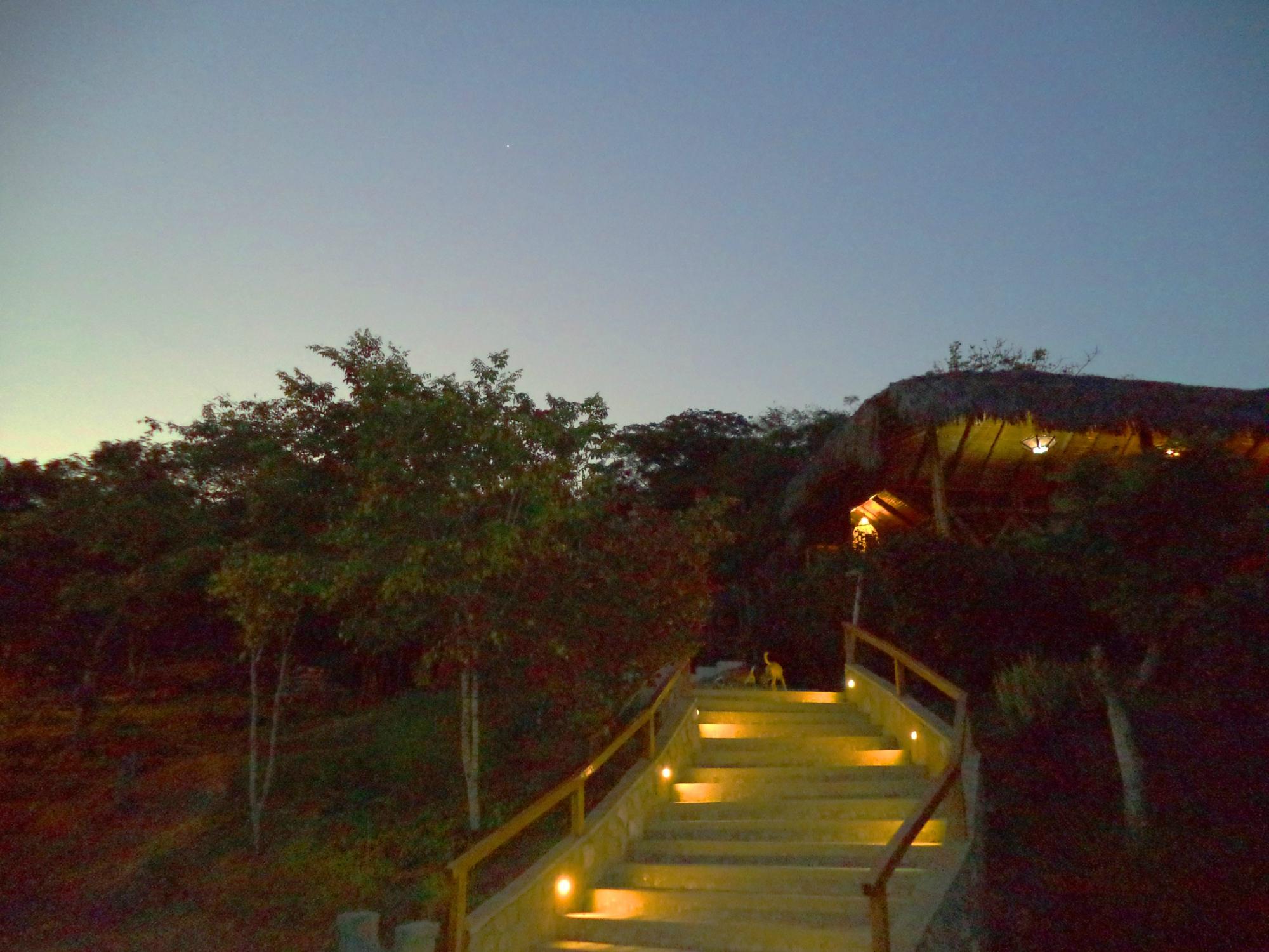 Hotel photo 18 of Nativa Bambu Ecolodge.